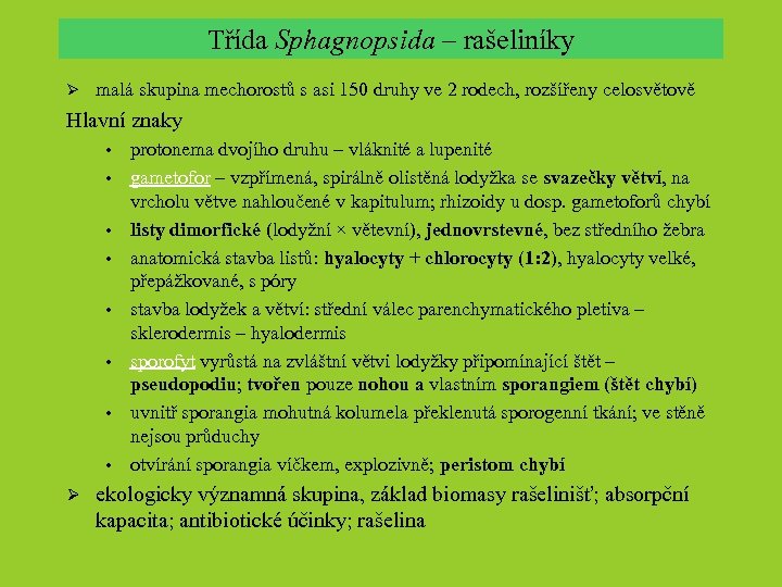 Třída Sphagnopsida – rašeliníky Ø malá skupina mechorostů s asi 150 druhy ve 2