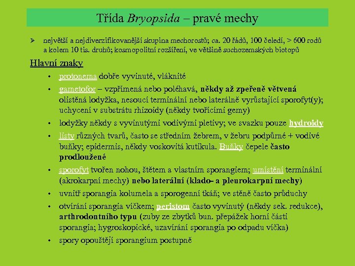 Třída Bryopsida – pravé mechy Ø největší a nejdiverzifikovanější skupina mechorostů; ca. 20 řádů,