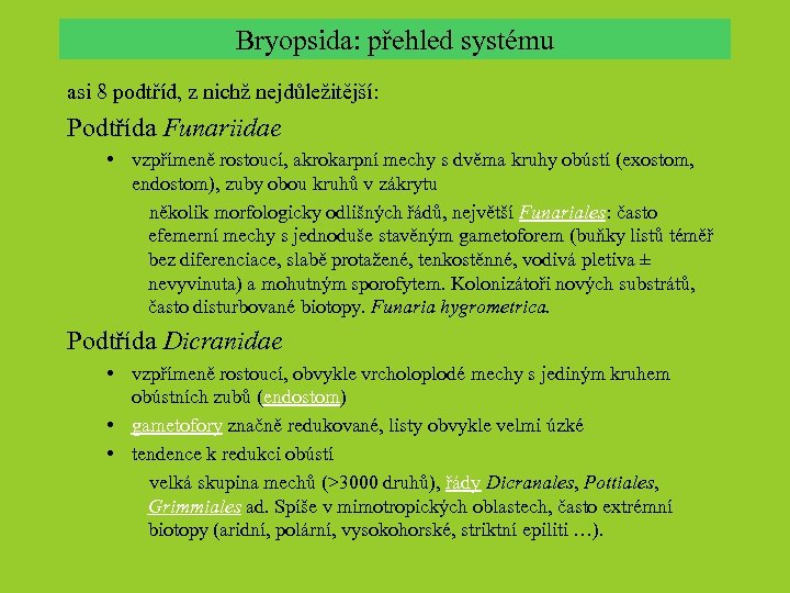 Bryopsida: přehled systému asi 8 podtříd, z nichž nejdůležitější: Podtřída Funariidae • vzpřímeně rostoucí,