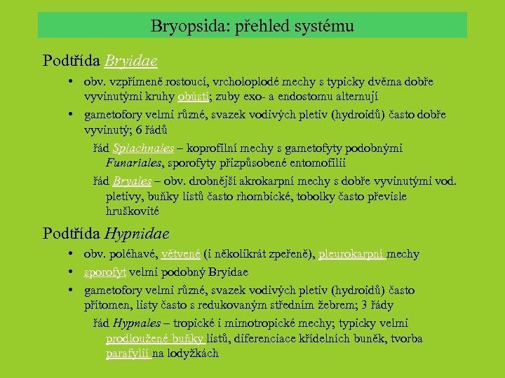 Bryopsida: přehled systému Podtřída Bryidae • obv. vzpřímeně rostoucí, vrcholoplodé mechy s typicky dvěma