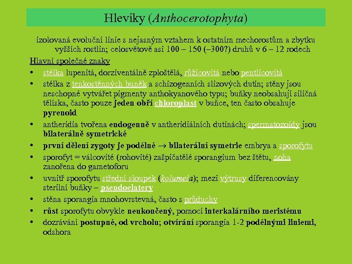 Hlevíky (Anthocerotophyta) izolovaná evoluční linie s nejasným vztahem k ostatním mechorostům a zbytku vyšších