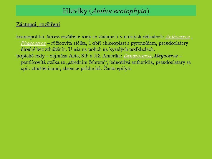 Hlevíky (Anthocerotophyta) Zástupci, rozšíření kosmopolitní, široce rozšířené rody se zástupci i v mírných oblastech: