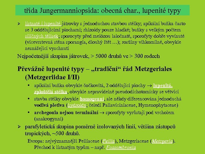 třída Jungermanniopsida: obecná char. , lupenité typy Ø listnaté i lupenité játrovky s jednoduchou