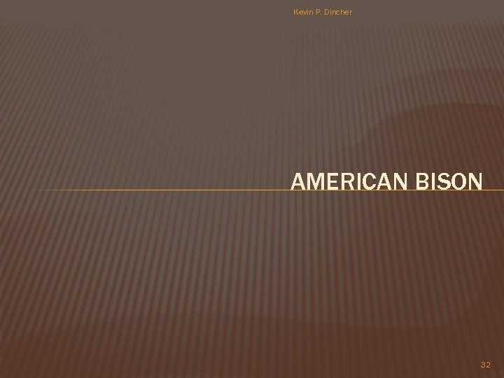 Kevin P. Dincher AMERICAN BISON 32 