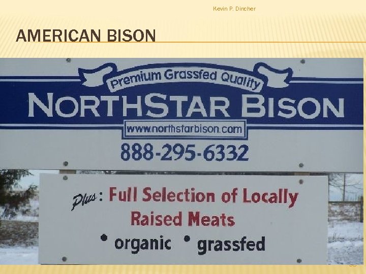 Kevin P. Dincher AMERICAN BISON 38 