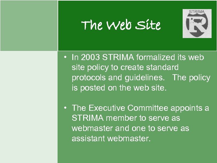 The Web Site • In 2003 STRIMA formalized its web site policy to create