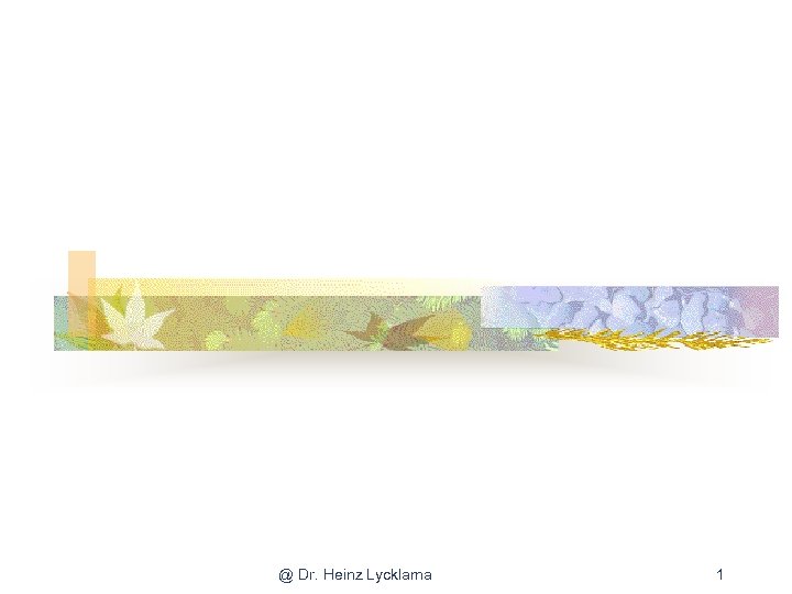 @ Dr. Heinz Lycklama 1 