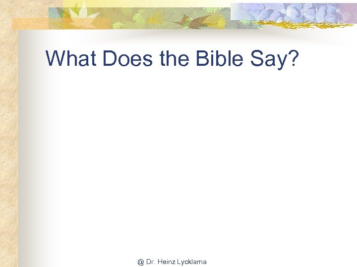 What Does the Bible Say? @ Dr. Heinz Lycklama 
