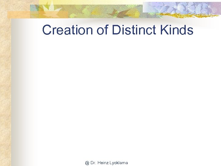 Creation of Distinct Kinds @ Dr. Heinz Lycklama 