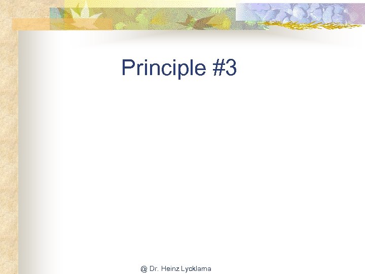 Principle #3 @ Dr. Heinz Lycklama 