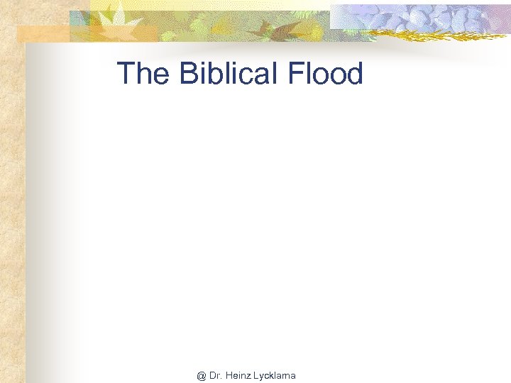 The Biblical Flood @ Dr. Heinz Lycklama 