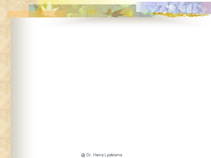 @ Dr. Heinz Lycklama 