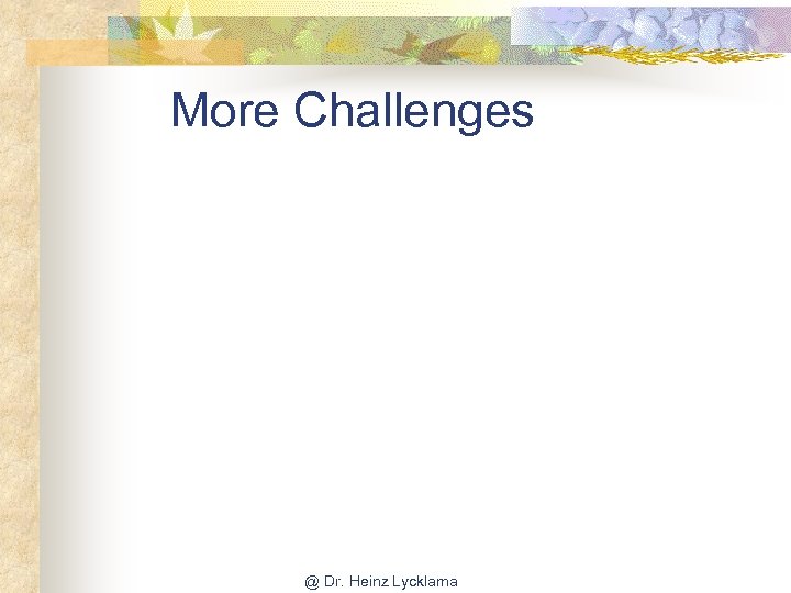 More Challenges @ Dr. Heinz Lycklama 