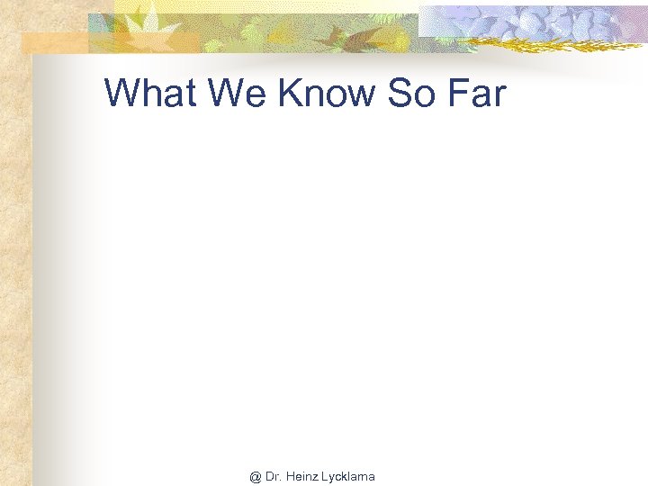 What We Know So Far @ Dr. Heinz Lycklama 