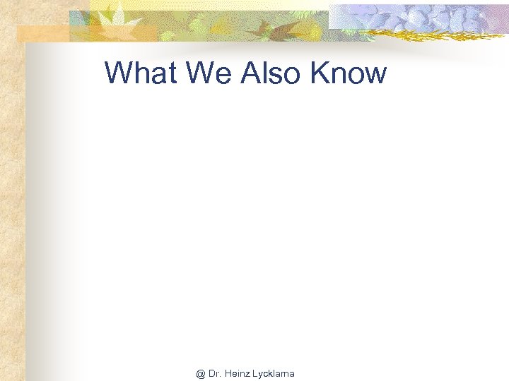 What We Also Know @ Dr. Heinz Lycklama 