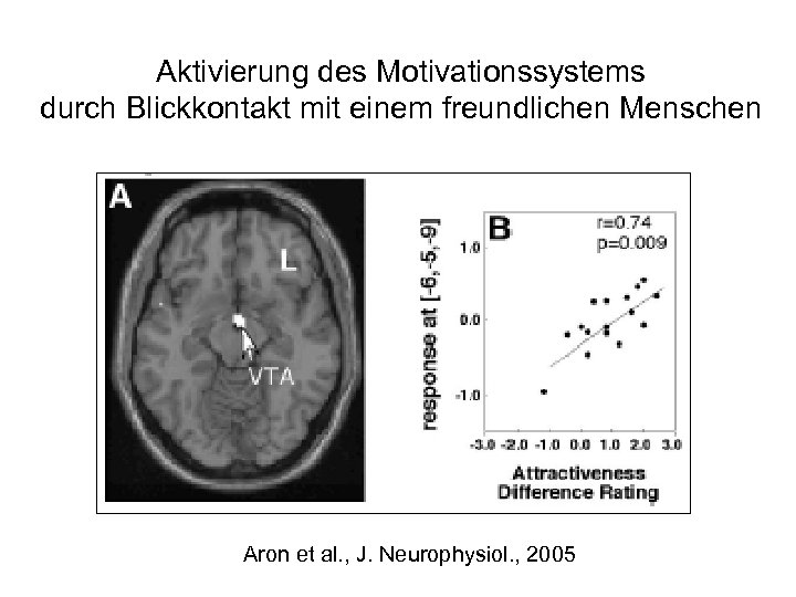 Aktivierung des Motivationssystems durch Blickkontakt mit einem freundlichen Menschen Aron et al. , J.