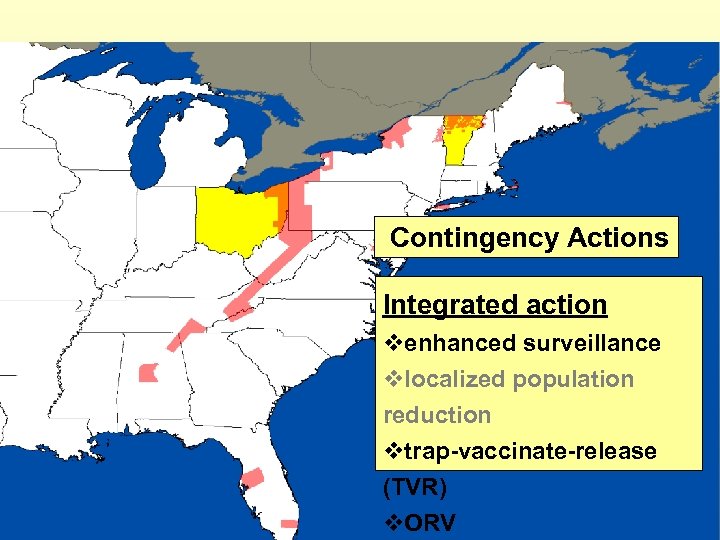 Contingency Actions Integrated action venhanced surveillance vlocalized population reduction vtrap-vaccinate-release (TVR) v. ORV 