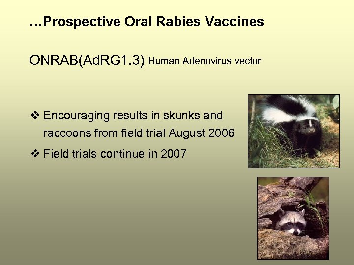 …Prospective Oral Rabies Vaccines ONRAB(Ad. RG 1. 3) Human Adenovirus vector v Encouraging results