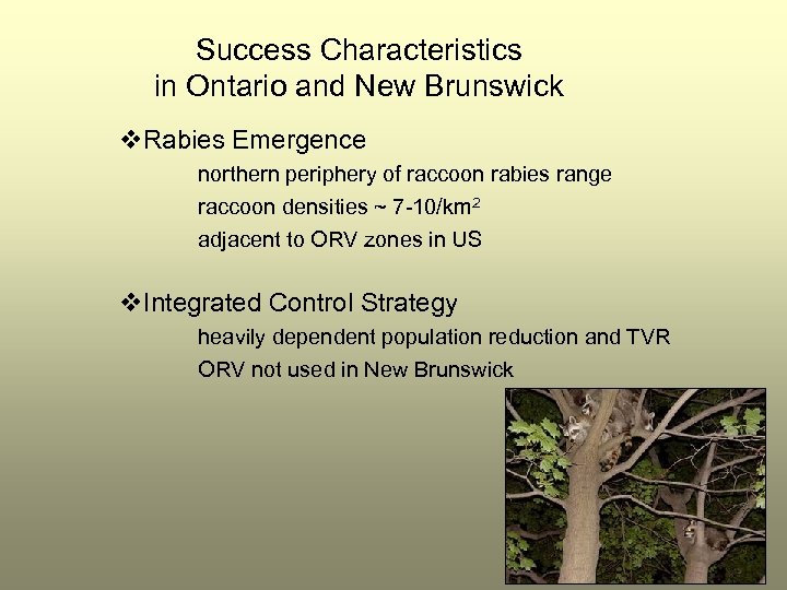 Success Characteristics in Ontario and New Brunswick v. Rabies Emergence northern periphery of raccoon