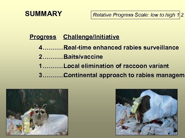 SUMMARY Progress Relative Progress Scale: low to high 1 2 3 Challenge/Initiative 4…………. Real-time