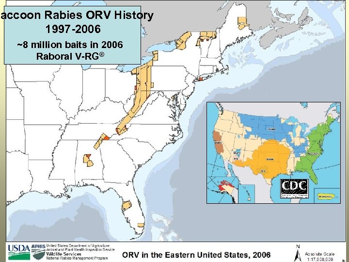 Raccoon Rabies ORV History 1997 -2006 ~8 million baits in 2006 Raboral V-RG® 