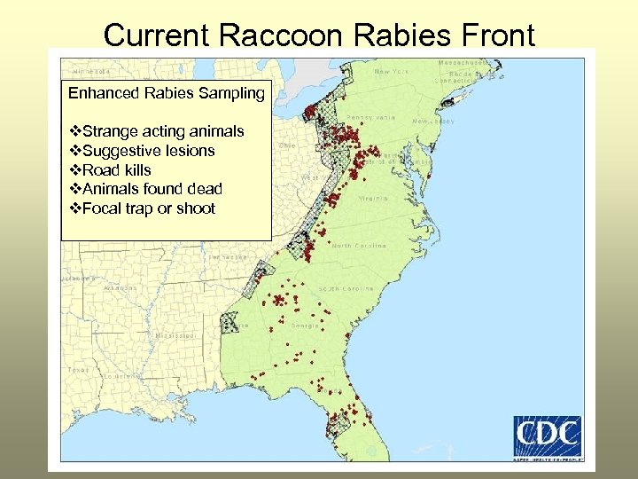 Current Raccoon Rabies Front Enhanced Rabies Sampling v. Strange acting animals v. Suggestive lesions