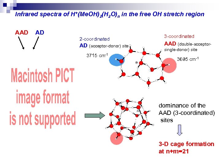Infrared spectra of H+(Me. OH)2(H 2 O)n in the free OH stretch region AAD