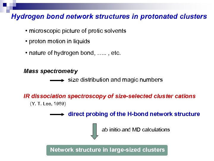 Hydrogen bond network structures in protonated clusters • microscopic picture of protic solvents •