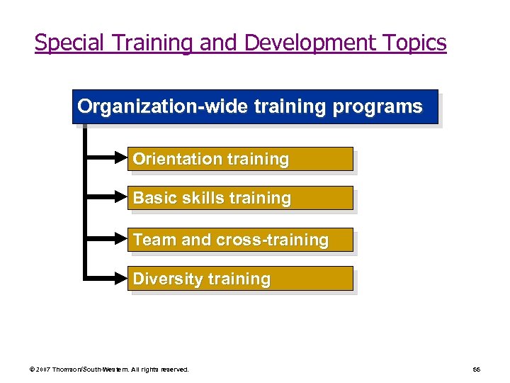 Special Training and Development Topics Organization-wide training programs Orientation training Basic skills training Team