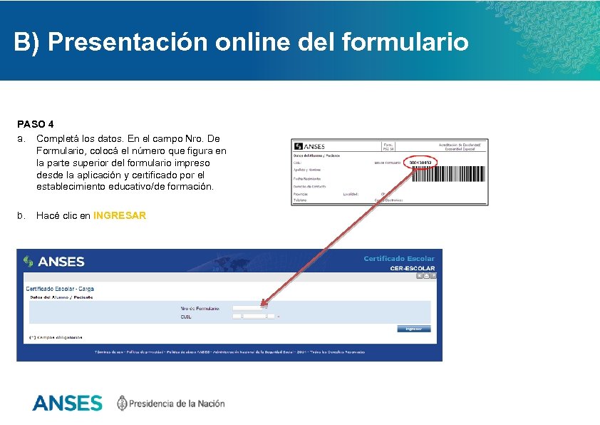 B) Presentación online del formulario PASO 4 a. Completá los datos. En el campo