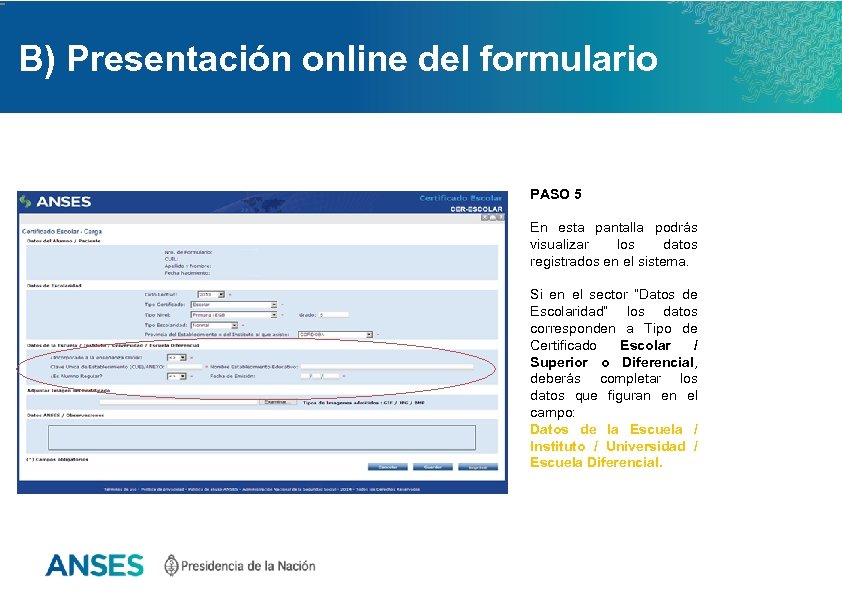 B) Presentación online del formulario PASO 5 En esta pantalla podrás visualizar los datos