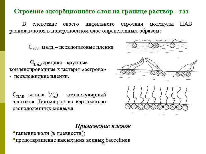Строение адсорбционного слоя на границе раствор - газ В следствие своего дифильного строения молекулы