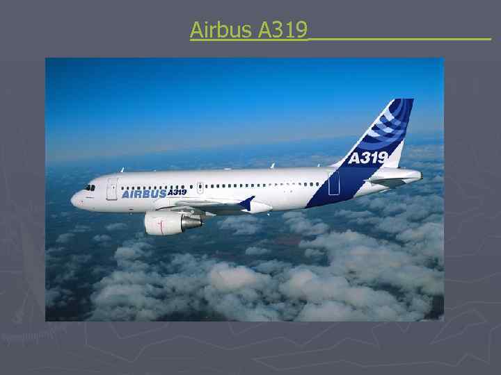  Airbus A 319 