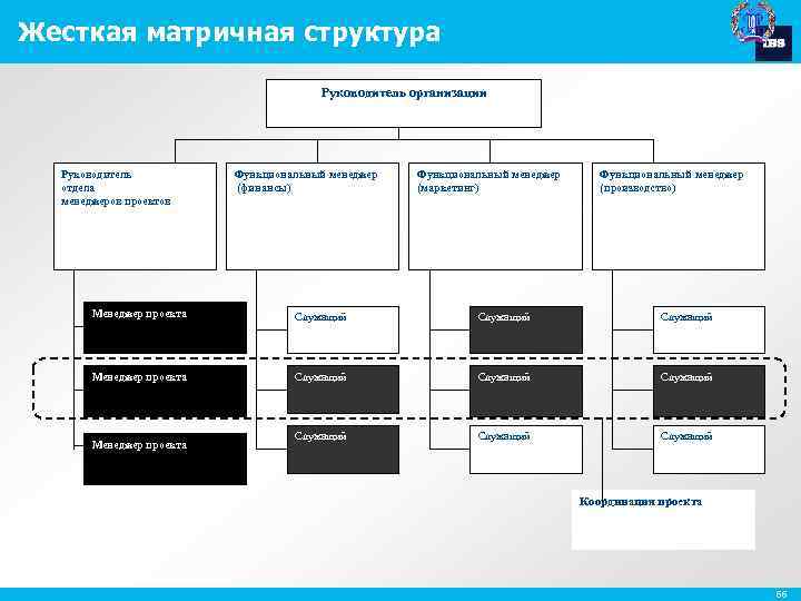 Жесткая матричная структура Руководитель организации Руководитель отдела менеджеров проектов Функциональный менеджер (финансы) Функциональный менеджер