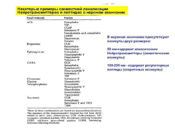 Некоторые примеры совместной локализации Нейротрансмиттеров и пептидов в нервном окончании В нервном окончании присутствуют