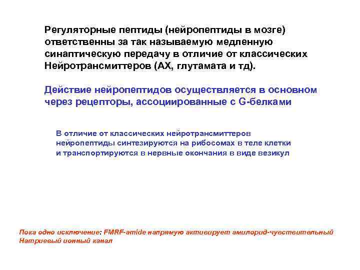 Регуляторные пептиды (нейропептиды в мозге) ответственны за так называемую медленную синаптическую передачу в отличие