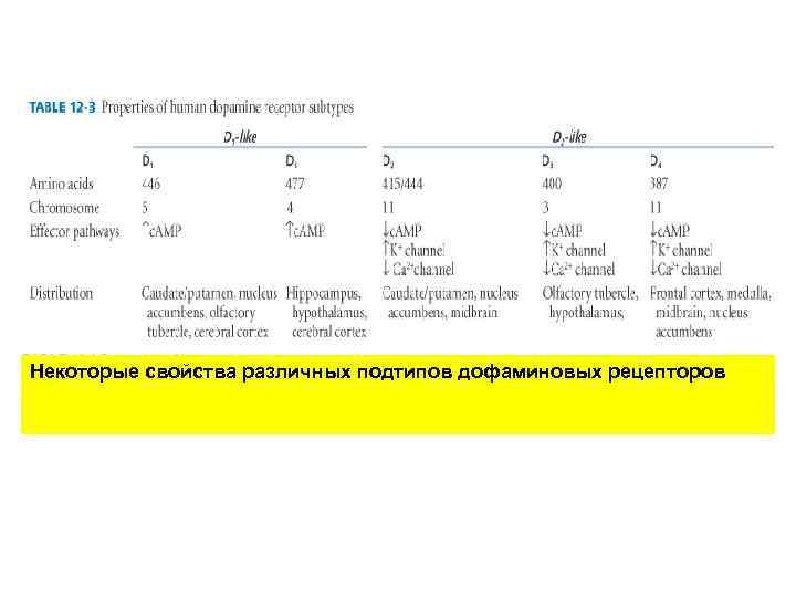 Некоторые свойства различных подтипов дофаминовых рецепторов 