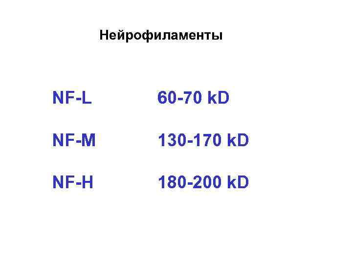 Нейрофиламенты NF-L 60 -70 k. D NF-M 130 -170 k. D NF-H 180 -200