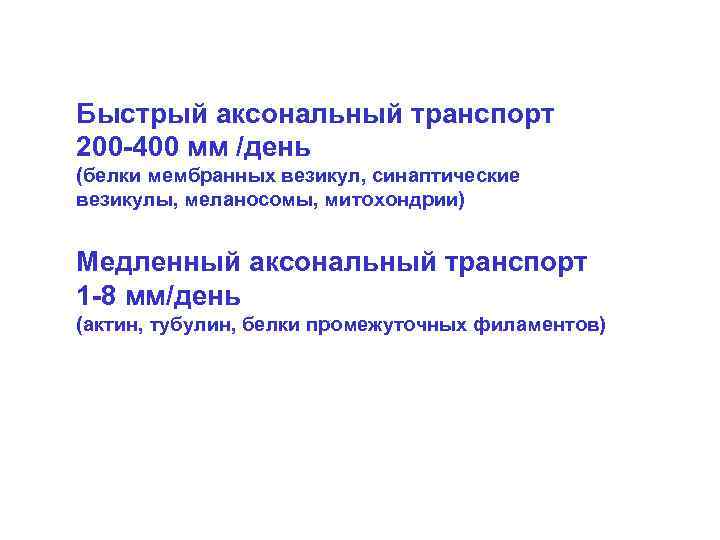 Быстрый аксональный транспорт 200 -400 мм /день (белки мембранных везикул, синаптические везикулы, меланосомы, митохондрии)