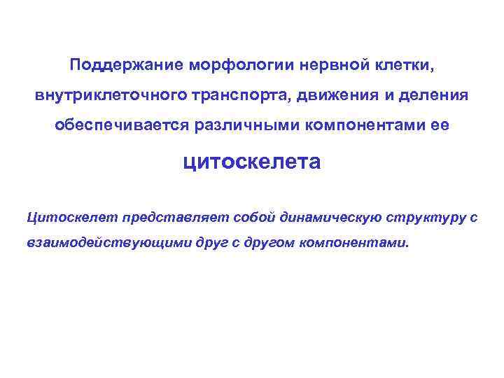 Поддержание морфологии нервной клетки, внутриклеточного транспорта, движения и деления обеспечивается различными компонентами ее цитоскелета