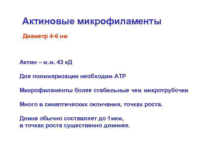 Актиновые микрофиламенты Диаметр 4 -6 нм Актин – м. м. 43 к. Д Для