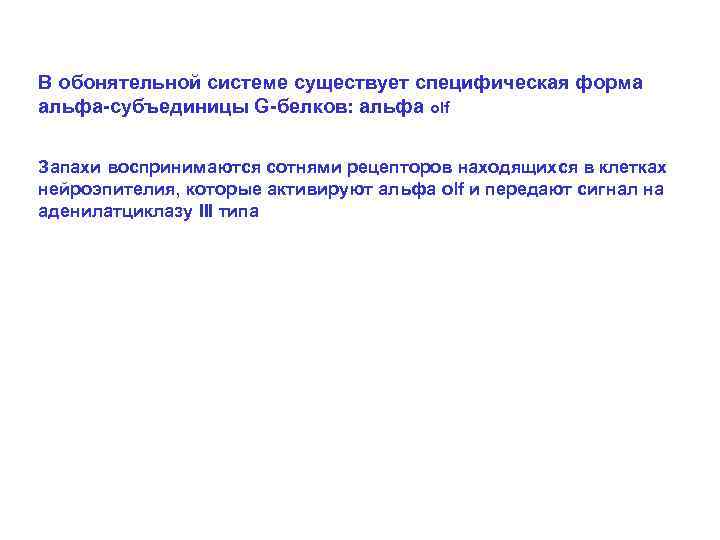 В обонятельной системе существует специфическая форма альфа-субъединицы G-белков: альфа olf Запахи воспринимаются сотнями рецепторов