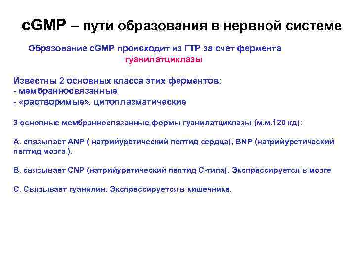 c. GMP – пути образования в нервной системе Образование c. GMP происходит из ГТР