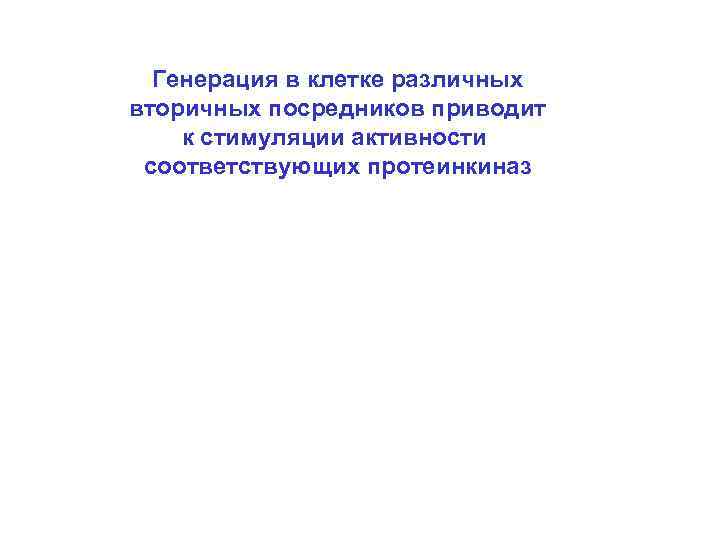Генерация в клетке различных вторичных посредников приводит к стимуляции активности соответствующих протеинкиназ 