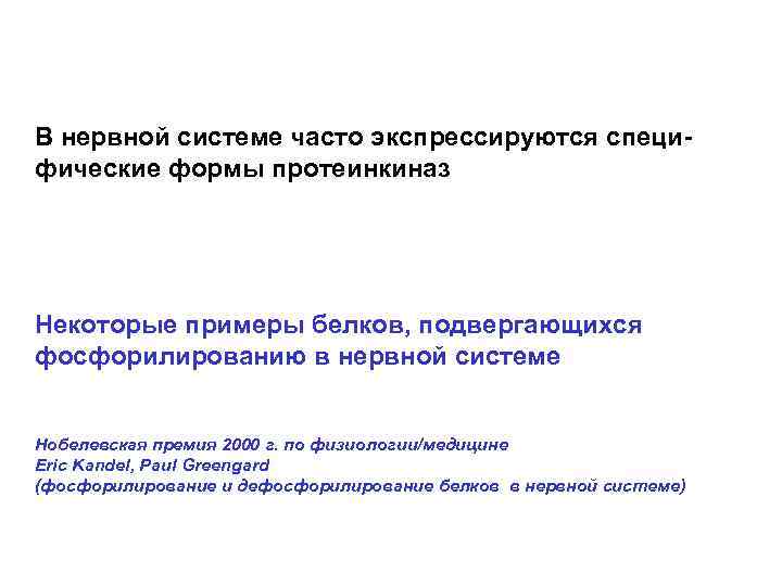 В нервной системе часто экспрессируются специфические формы протеинкиназ Некоторые примеры белков, подвергающихся фосфорилированию в