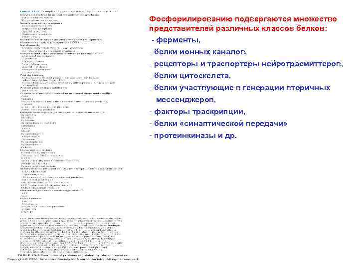 Фосфорилированию подвергаются множество представителей различных классов белков: - ферменты, - белки ионных каналов, -