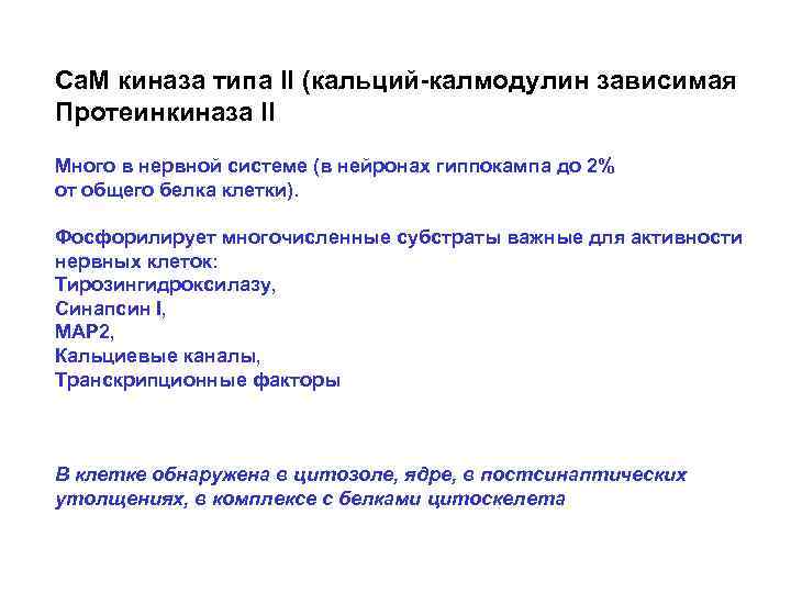 Са. М киназа типа II (кальций-калмодулин зависимая Протеинкиназа II Много в нервной системе (в