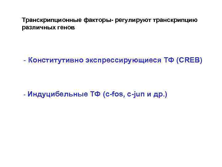 Транскрипционные факторы- регулируют транскрипцию различных генов - Конститутивно экспрессирующиеся ТФ (CREB) - Индуцибельные ТФ