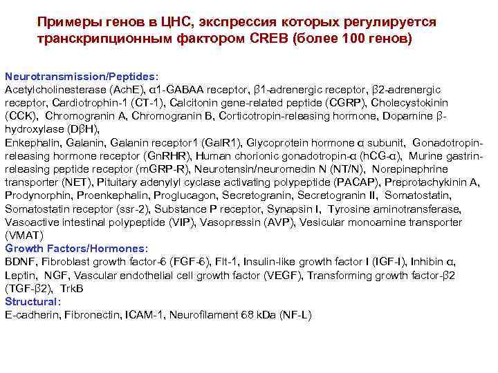 Примеры генов в ЦНС, экспрессия которых регулируется транскрипционным фактором CREB (более 100 генов) Neurotransmission/Peptides: