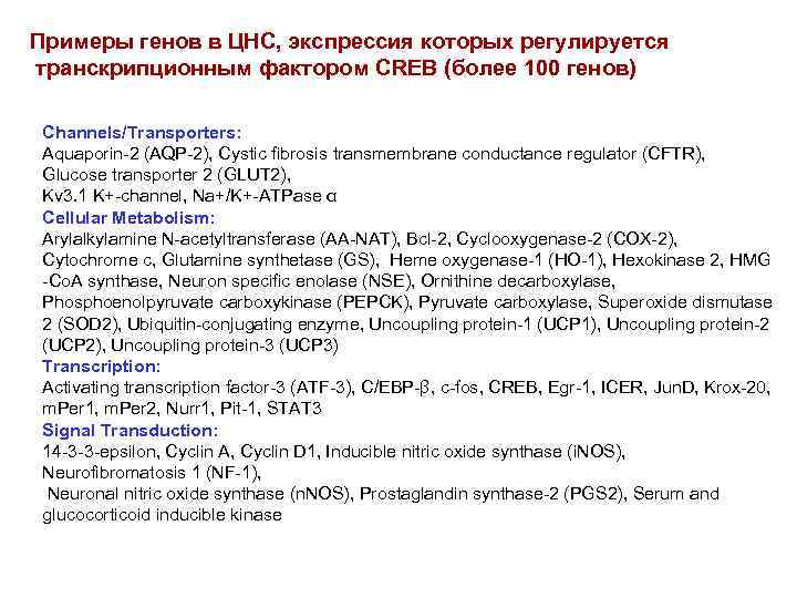 Примеры генов в ЦНС, экспрессия которых регулируется транскрипционным фактором CREB (более 100 генов) Channels/Transporters: